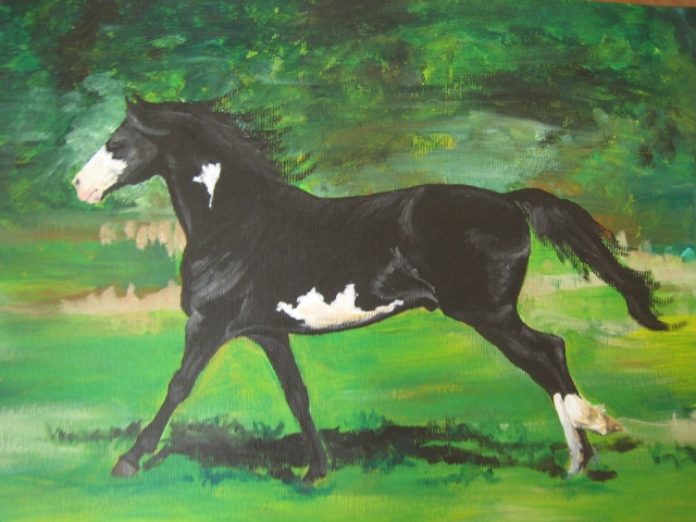 Paint horse