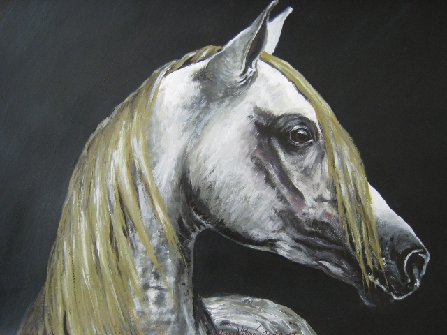 Arab / Arabian Horse XV
