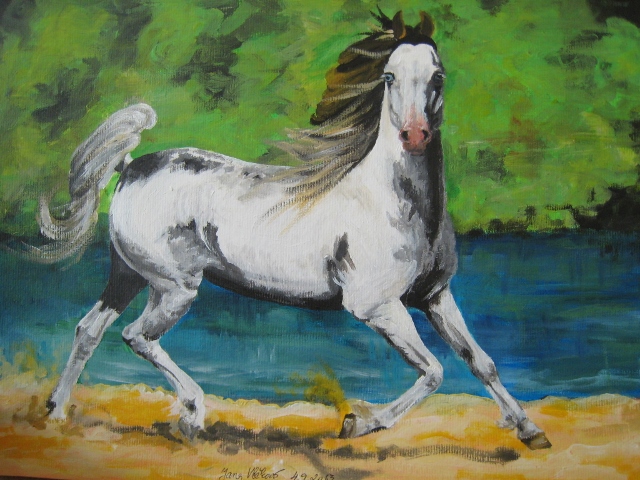 Kůň / Horse II