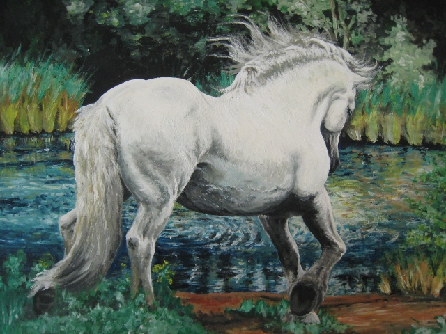 Peršeronský kůň / Percheron