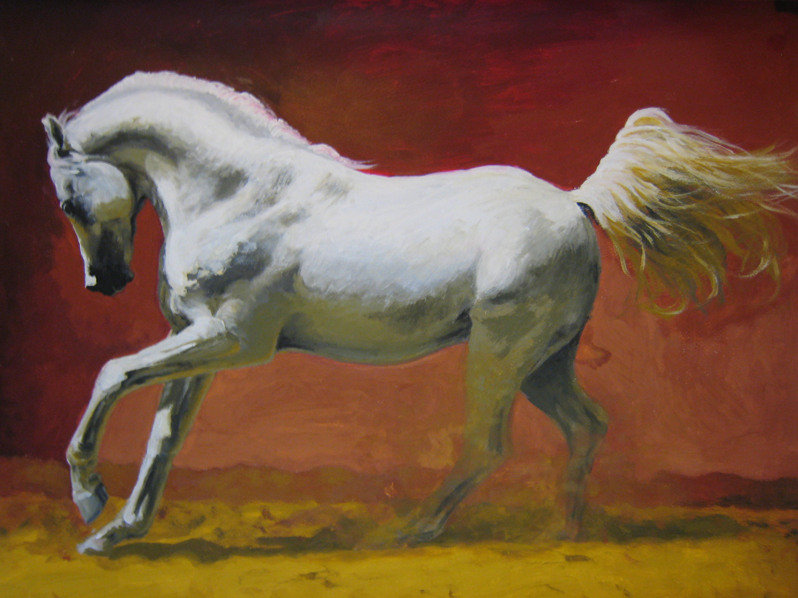 Arabsky kun IV / Arabian Horse IV